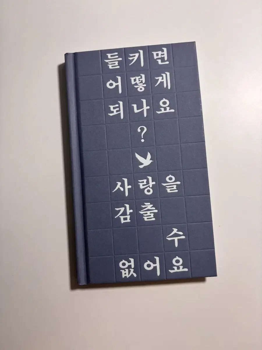 최진영 오로라 소설책